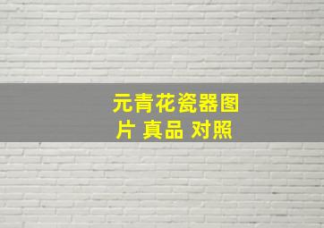 元青花瓷器图片 真品 对照